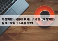 現(xiàn)在微信小程序開(kāi)發(fā)用什么語(yǔ)言（現(xiàn)在微信小程序開(kāi)發(fā)用什么語(yǔ)言開(kāi)發(fā)）