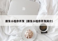 原生小程序開發(fā)（原生小程序開發(fā)簡(jiǎn)介）