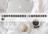 小程序開發(fā)項目驗收意見（小程序驗收注意事項）