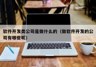 軟件開發(fā)類公司是做什么的（做軟件開發(fā)的公司有哪些呢）