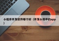 小程序開發(fā)軟件哪個(gè)好（開發(fā)小程序的app）