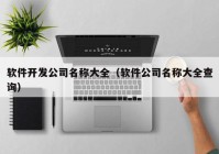 軟件開發(fā)公司名稱大全（軟件公司名稱大全查詢）