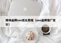 柳州品牌seo優(yōu)化教程（seo品牌推廣優(yōu)化）