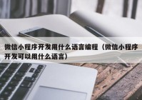 微信小程序開發(fā)用什么語言編程（微信小程序開發(fā)可以用什么語言）