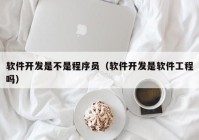 軟件開發(fā)是不是程序員（軟件開發(fā)是軟件工程嗎）